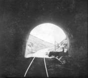 �����������, 1905 ���